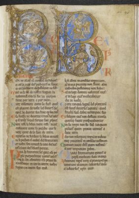  Die Winchester Psalter: Ein Fest der Farben und der Menschlichkeit!